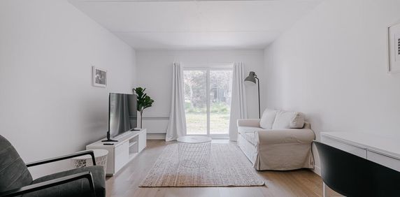 OSEN Appartement 4 ½ à Louer Sainte-Foy / Sillery Juillet 2026 - Photo 2