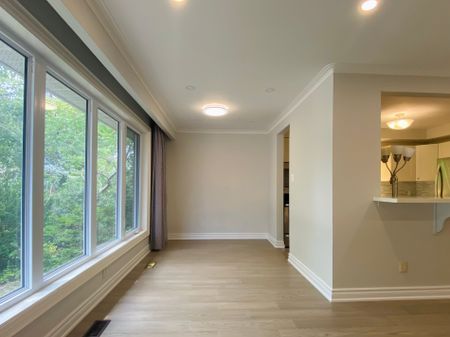 For Lease - 207 Maple Avenue, Richmond Hill, Ontario - Photo 2