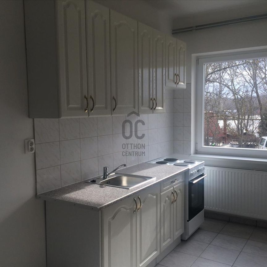 Kiadó új építésű lakás - Tatabánya - Photo 1