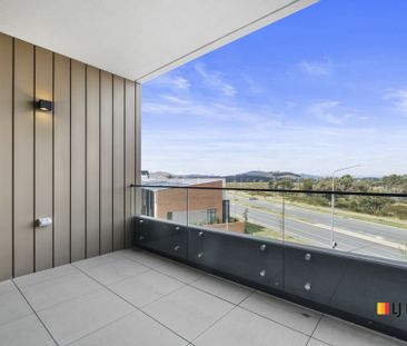 2 Bedroom apartment with arboretum views - Photo 6