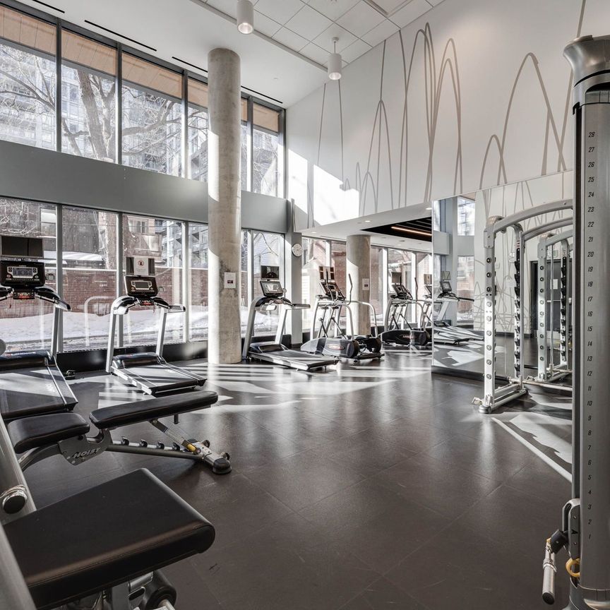 For Lease - 501 Adelaide Street Unit# 1308, Toronto, Ontario - Photo 1