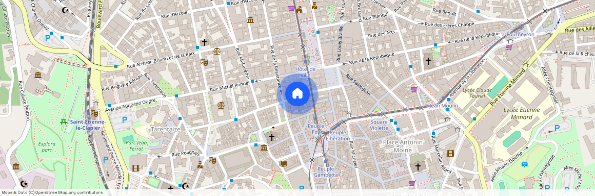 3 RUE GEORGES TEISSIER RUE, ST ETIENNE CENTRE VILLE, Saint Etienne