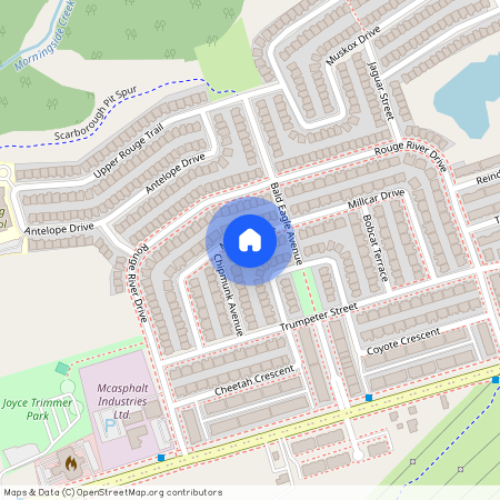 55 Millcar Drive #BSMT, Toronto, Rouge E11