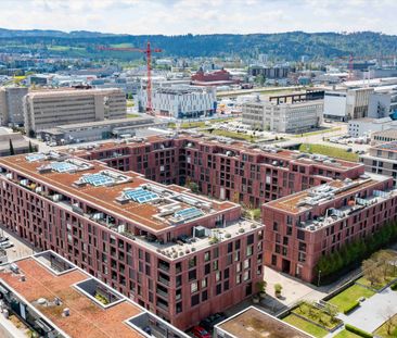 "Single-Wohnung im ROY zu vermieten!" - Foto 2