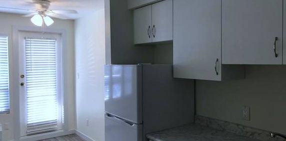 Newly renovated 1 Bdrm Apartment for rent - Photo 2