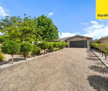 13 Olary Street, Amaroo ACT 2914 - House For Rent | Domain - Photo 3