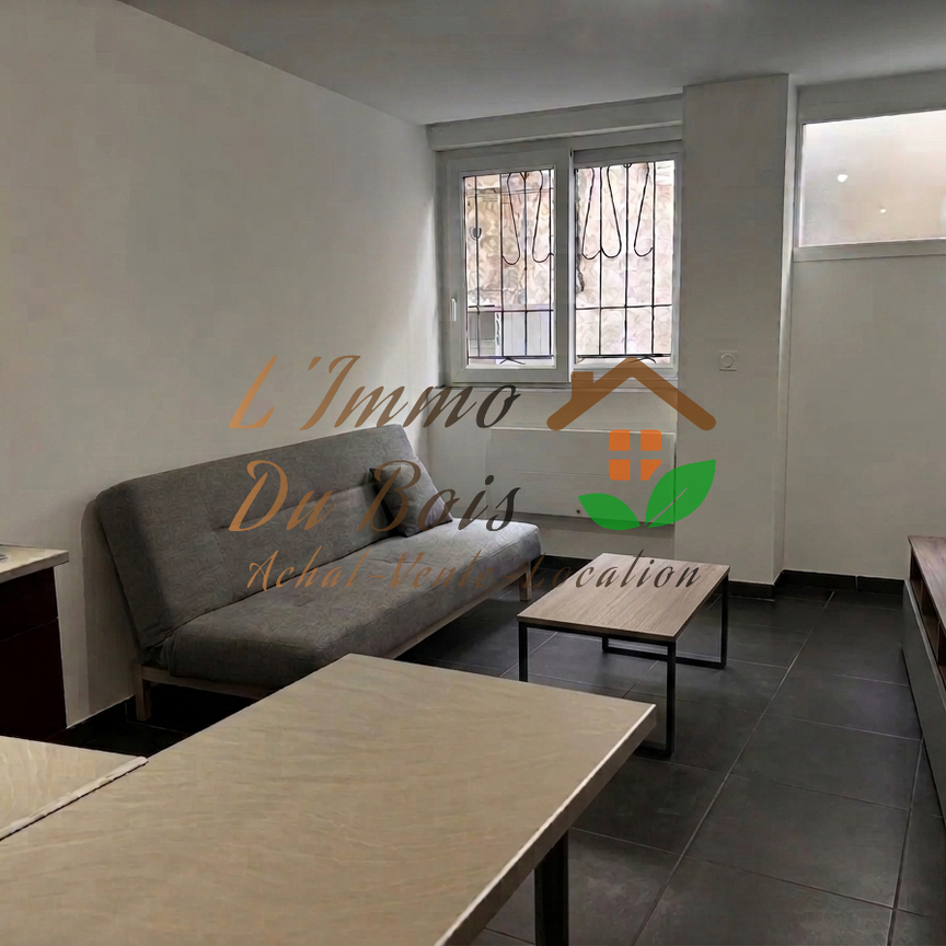 Location Appartement 1 pièce 25m² VIENNE 38200 - Photo 1
