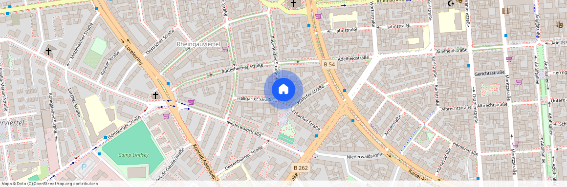 Rauenthaler Str. 22, 65197 Wiesbaden