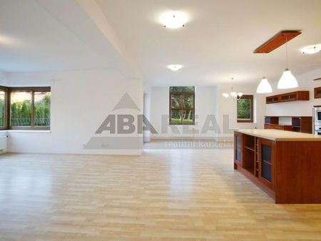 Pronájem domu 410 m2 - Fotografie 3