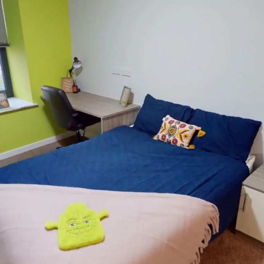 Superior Studio - Single - Photo 1