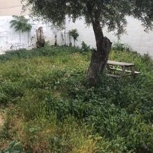 Μονοκατοικία για ενοικίαση - Αχαρνές, - Photo 1