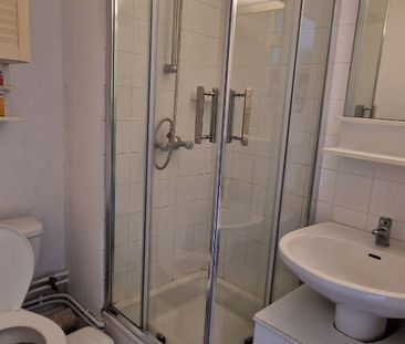 Location Appartement 1 pièce 19m² - Photo 3