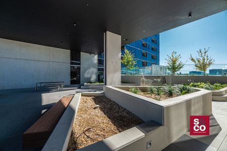 1614/15 Bowes Street, Phillip ACT 2606 - Apartment For Rent | Domain - Photo 5