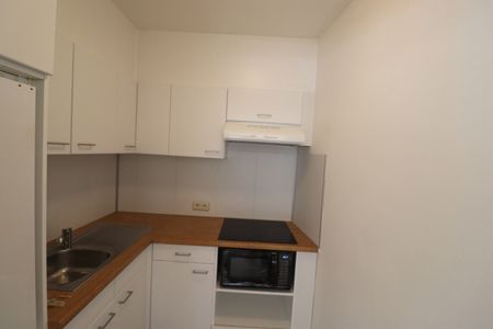 Een gerenoveerd appartement op de benedenverdieping rechts van de rechter ingang met terras en garage. - Foto 3