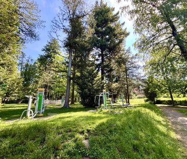 TOP 2.11 - Kirchdorf: Wohnglück Lisztstraße - Photo 5