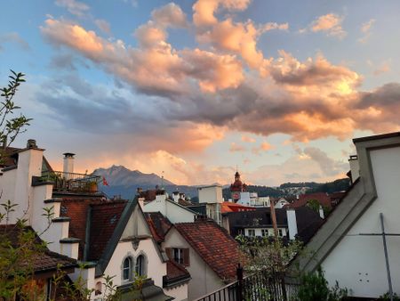 Altstadtwohnung in Luzern - befristet bis 30.09.2025 - Photo 3