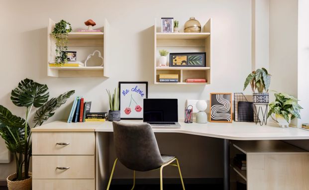 Extra Large Studio - Photo 1