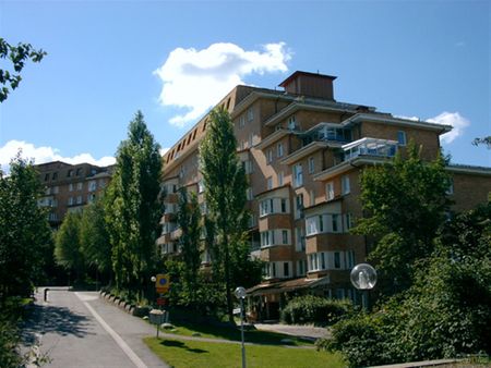 Myntstigen 17 - Photo 5