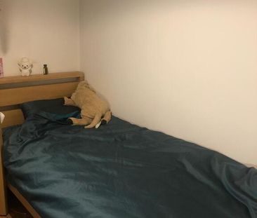 Unit 2, 1 Stranmillis Gardens, Belfast, BT9 5AS - Photo 4