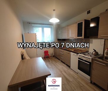 Mieszkanie Do Wynajęcia - Photo 1