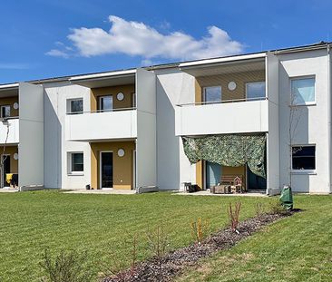 Junges Wohnen in Ziersdorf - Photo 4