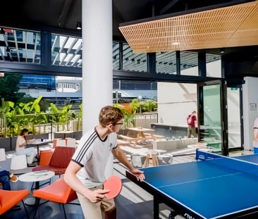 Studio Twin Share-Twin Bunk Studio - Photo 5