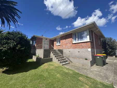 213 Bairds Road, Otara, Auckland - Photo 3