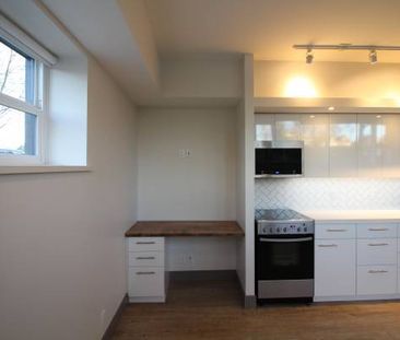 Newly Renovated Studio Apartment - $300 Move-In Incentive! - Photo 4