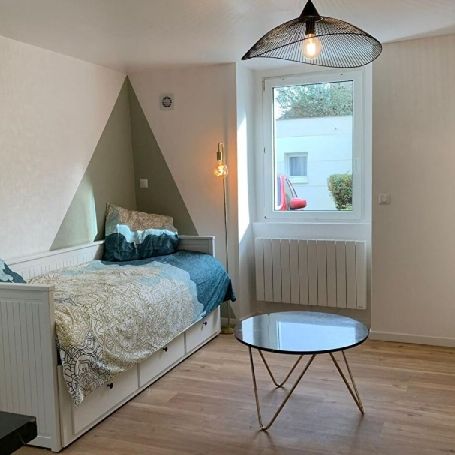 Location Appartement P1 Nantes - Photo 1