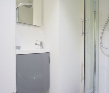 FOCH M Roommate 3 Bedrooms at Nancy - Photo 6