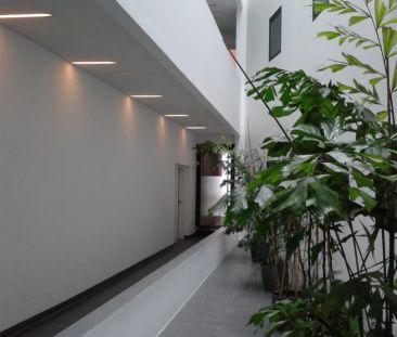 Helle, sonnige 2-Zimmer Wohnung mit sehr großer sonniger Loggia im ... - Foto 1