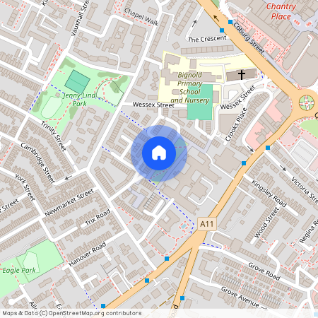 Phillipa Flowerday Plain, Norwich