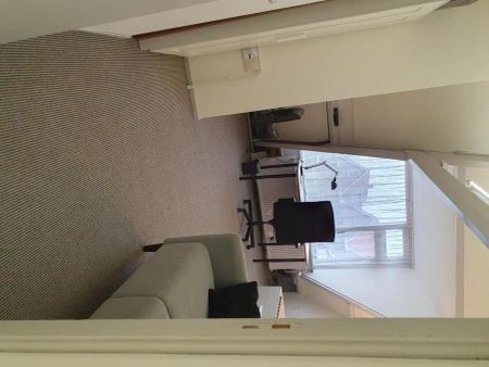 Chambre meublée Delftsestraatweg, Delfgauw - Foto 2