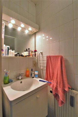 Baron Lambert - Foto 3