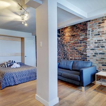 Loft entièrement meublé à louer Saint-Jean-Baptiste janvier 2026 - Photo 3