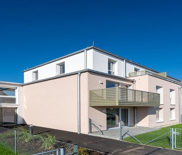 HOLLABRUNN XXVI/1 - Foto 5