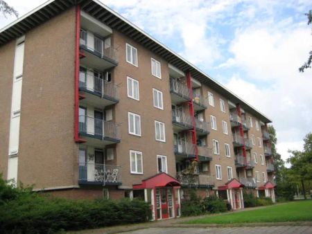 Appartement Nobellaan, Assen - À louer - Photo 3