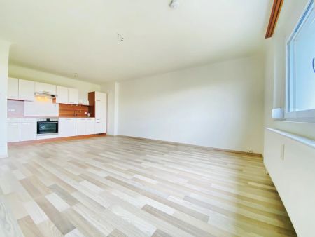 Großzügige Singlewohnung- alles vor der Haustür! - Foto 2