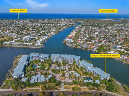 Resort-Style Apartment Just Steps from the Health Precinct - Photo 5