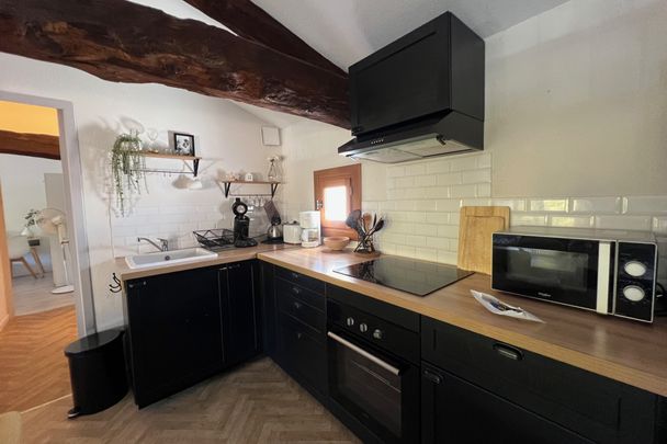 Gaillac centre T4 meublé - Photo 1