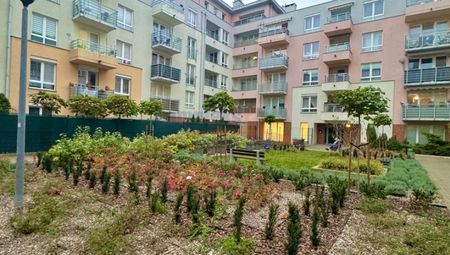 Gumieńce, Hrubieszowska, Szczecin - Photo 4