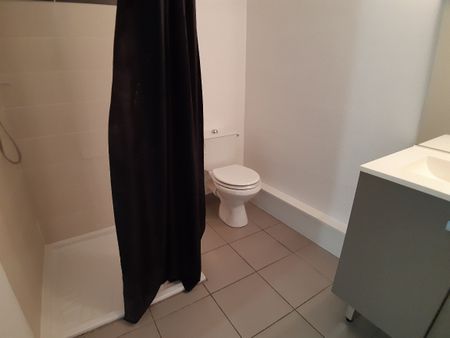 Location Appartement 2 pièces 41m² TOULOUSE 31100 - Photo 3