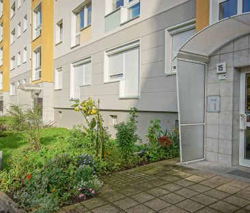 1-Zimmer Mietwohnung - Großzschachwitz - Photo 3