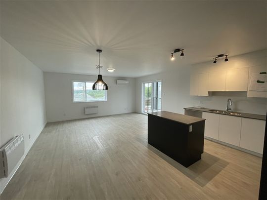 864-401 (vacant ) RUE LAMARCHE, SHERBROOKE, J1H 0M5 5½ - Photo 1