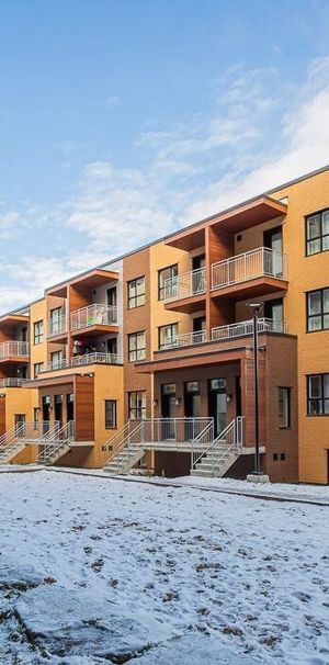 3 1/2 - 8500 Boulevard Viau, Saint-Leonard - Photo 1