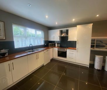 20 Beech Meadows, Waringstown, BT66 7UL - Photo 6