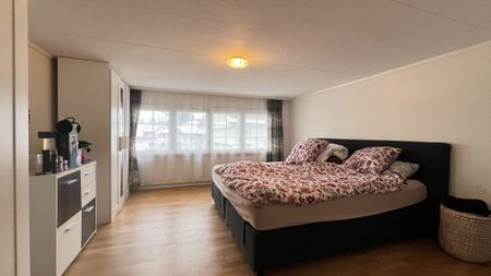 PRICE HAMMER WITH LOTS OF SPACE - Foto 3