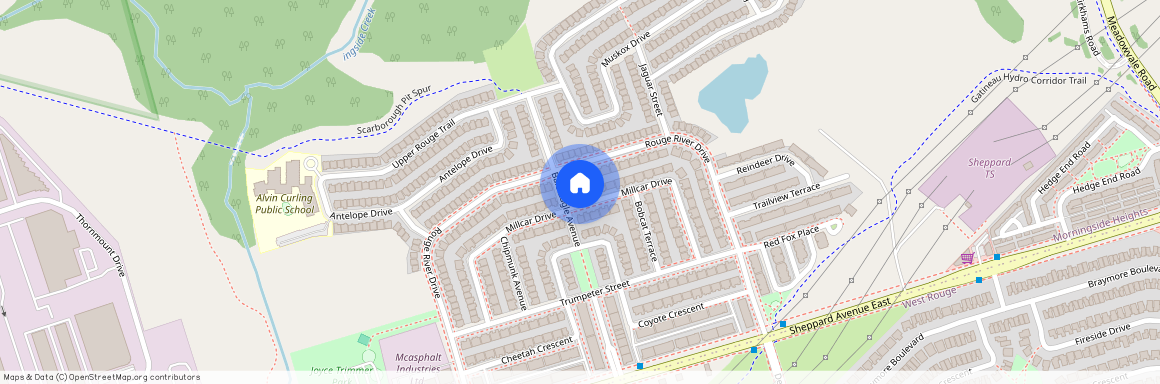 74 Millcar Drive Unit# Bsmnt, Toronto