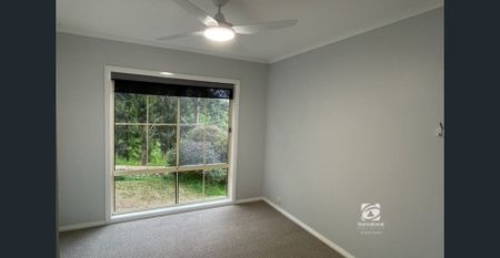 IMMACULATE - Photo 5