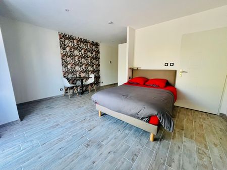 Location Appartement 1 pièce 32m² CARMAUX 81400 - Photo 3